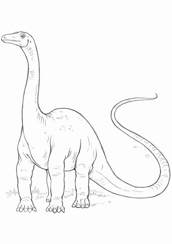 50 top idées de coloriages dinosaure à imprimer 33 50 top idées de coloriages dinosaure à imprimer 33
