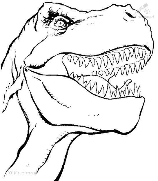 50 top idées de coloriages dinosaure à imprimer 47 50 top idées de coloriages dinosaure à imprimer 47