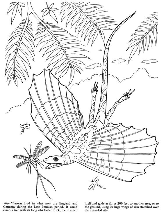 50 top idées de coloriages dinosaure à imprimer 49 50 top idées de coloriages dinosaure à imprimer 49