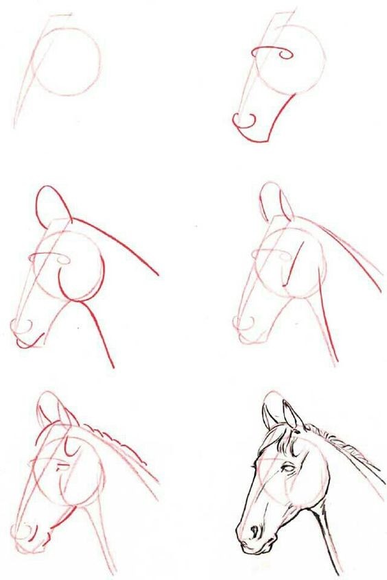 63 idées de dessins de cheval : pour apprendre à dessiner des chevaux 2 63 idées de dessins de cheval : pour apprendre à dessiner des chevaux 2
