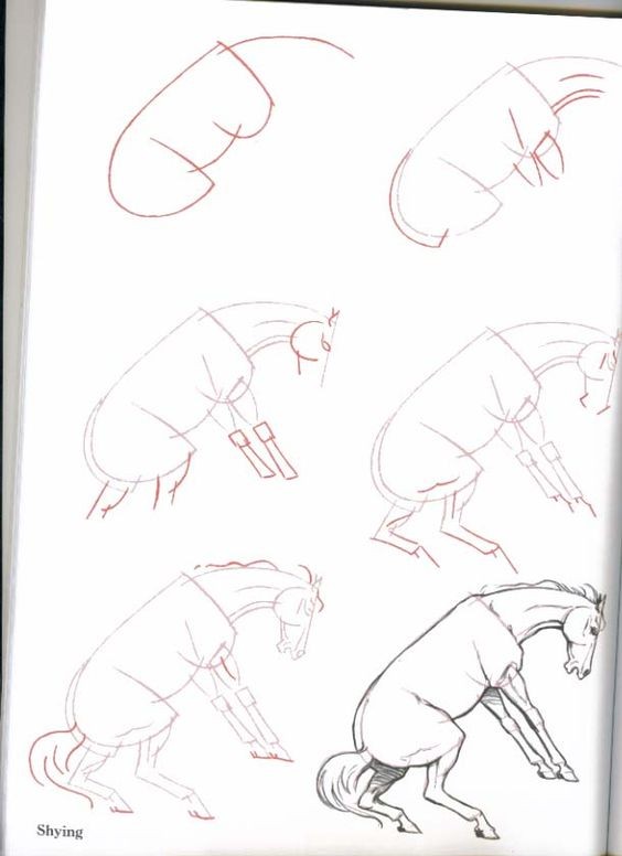 63 idées de dessins de cheval : pour apprendre à dessiner des chevaux 3 63 idées de dessins de cheval : pour apprendre à dessiner des chevaux 3