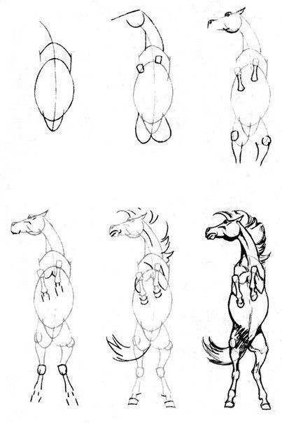 63 idées de dessins de cheval : pour apprendre à dessiner des chevaux 4 63 idées de dessins de cheval : pour apprendre à dessiner des chevaux 4
