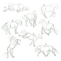 63 idées de dessins de cheval : pour apprendre à dessiner des chevaux 5 63 idées de dessins de cheval : pour apprendre à dessiner des chevaux 5
