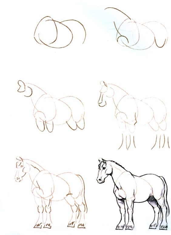 63 idées de dessins de cheval : pour apprendre à dessiner des chevaux 10 63 idées de dessins de cheval : pour apprendre à dessiner des chevaux 10