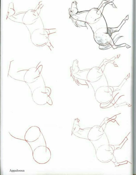63 idées de dessins de cheval : pour apprendre à dessiner des chevaux 11 63 idées de dessins de cheval : pour apprendre à dessiner des chevaux 11