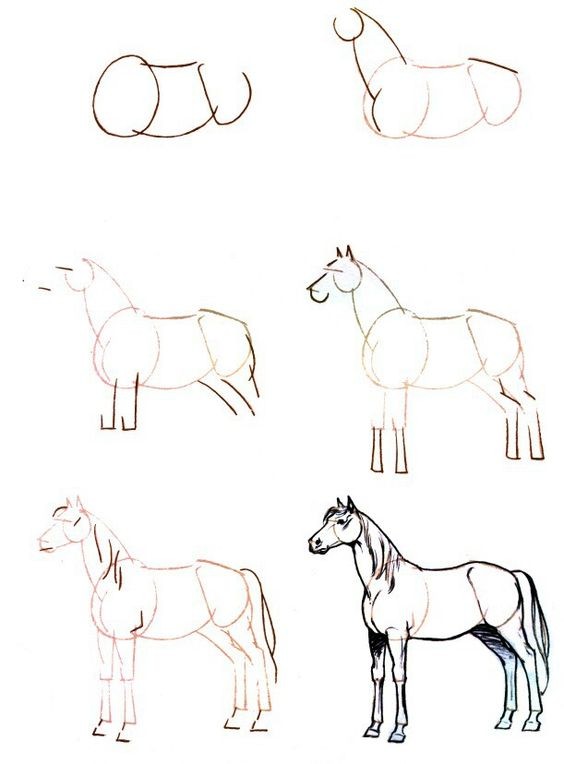 63 idées de dessins de cheval : pour apprendre à dessiner des chevaux 28 63 idées de dessins de cheval : pour apprendre à dessiner des chevaux 28