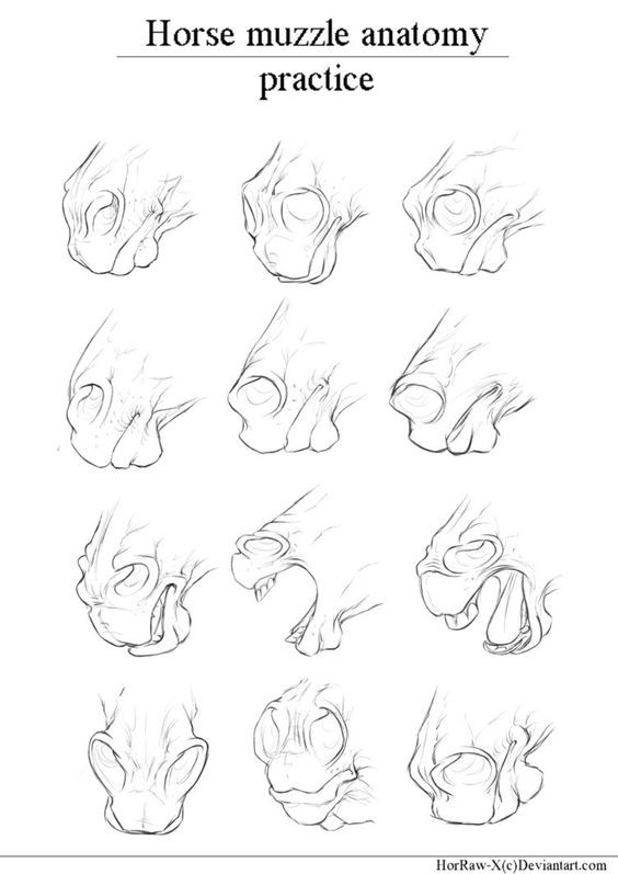 63 idées de dessins de cheval : pour apprendre à dessiner des chevaux 33 63 idées de dessins de cheval : pour apprendre à dessiner des chevaux 33