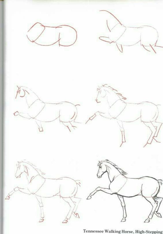 63 idées de dessins de cheval : pour apprendre à dessiner des chevaux 37 63 idées de dessins de cheval : pour apprendre à dessiner des chevaux 37