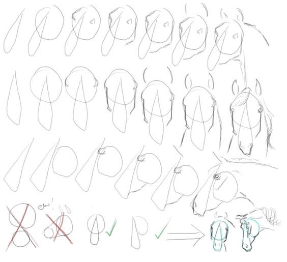 63 idées de dessins de cheval : pour apprendre à dessiner des chevaux 38 63 idées de dessins de cheval : pour apprendre à dessiner des chevaux 38