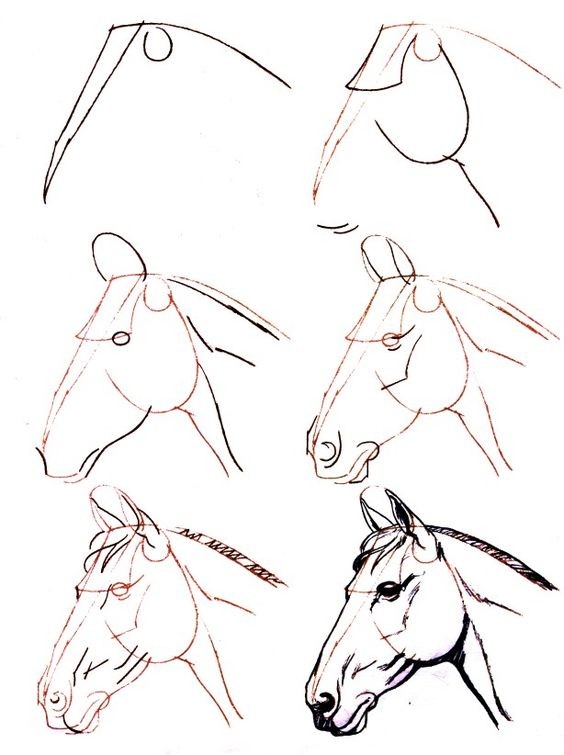 63 idées de dessins de cheval : pour apprendre à dessiner des chevaux 40 63 idées de dessins de cheval : pour apprendre à dessiner des chevaux 40