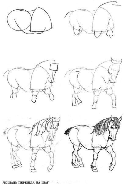 63 idées de dessins de cheval : pour apprendre à dessiner des chevaux 42 63 idées de dessins de cheval : pour apprendre à dessiner des chevaux 42