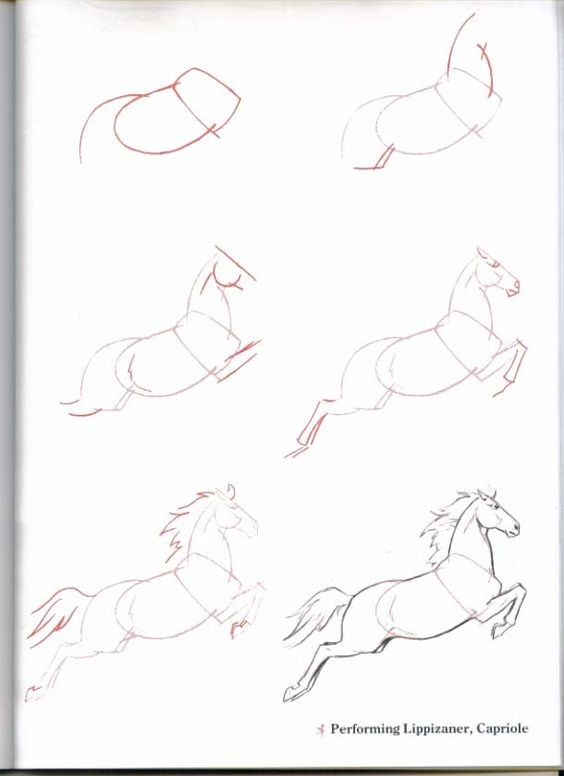 63 idées de dessins de cheval : pour apprendre à dessiner des chevaux 47 63 idées de dessins de cheval : pour apprendre à dessiner des chevaux 47