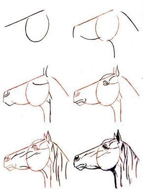 63 idées de dessins de cheval : pour apprendre à dessiner des chevaux 50 63 idées de dessins de cheval : pour apprendre à dessiner des chevaux 50