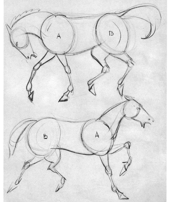 63 idées de dessins de cheval : pour apprendre à dessiner des chevaux 51 63 idées de dessins de cheval : pour apprendre à dessiner des chevaux 51