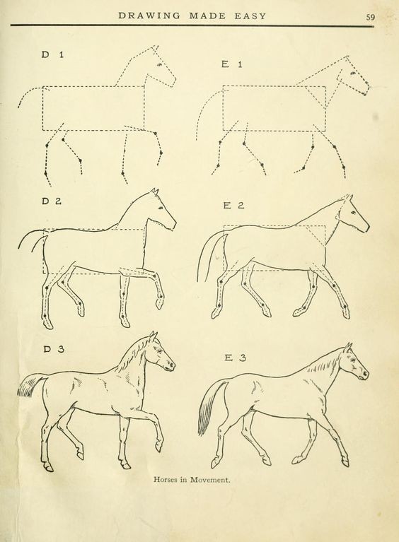 63 idées de dessins de cheval : pour apprendre à dessiner des chevaux 53 63 idées de dessins de cheval : pour apprendre à dessiner des chevaux 53
