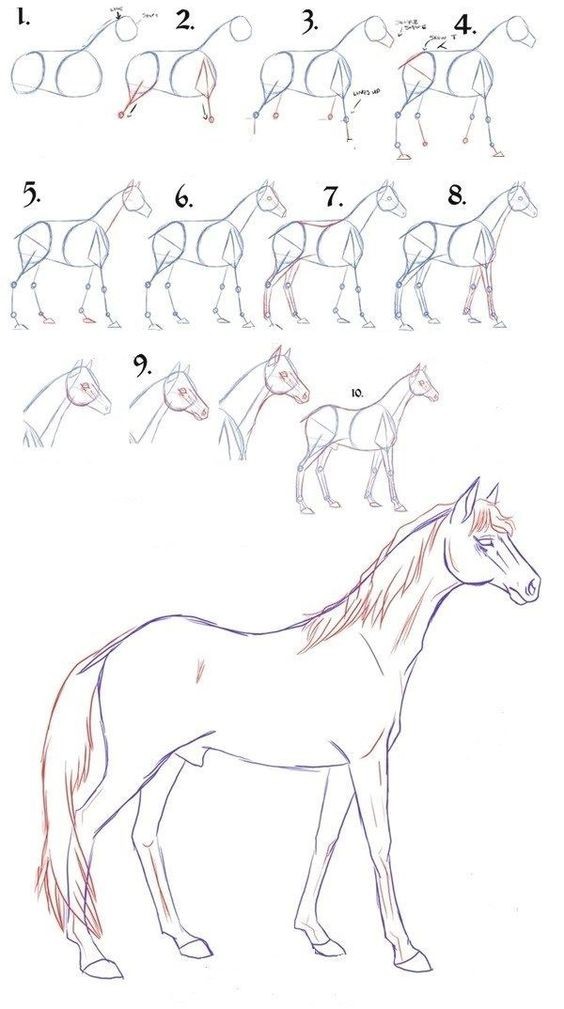 63 idées de dessins de cheval : pour apprendre à dessiner des chevaux 54 63 idées de dessins de cheval : pour apprendre à dessiner des chevaux 54