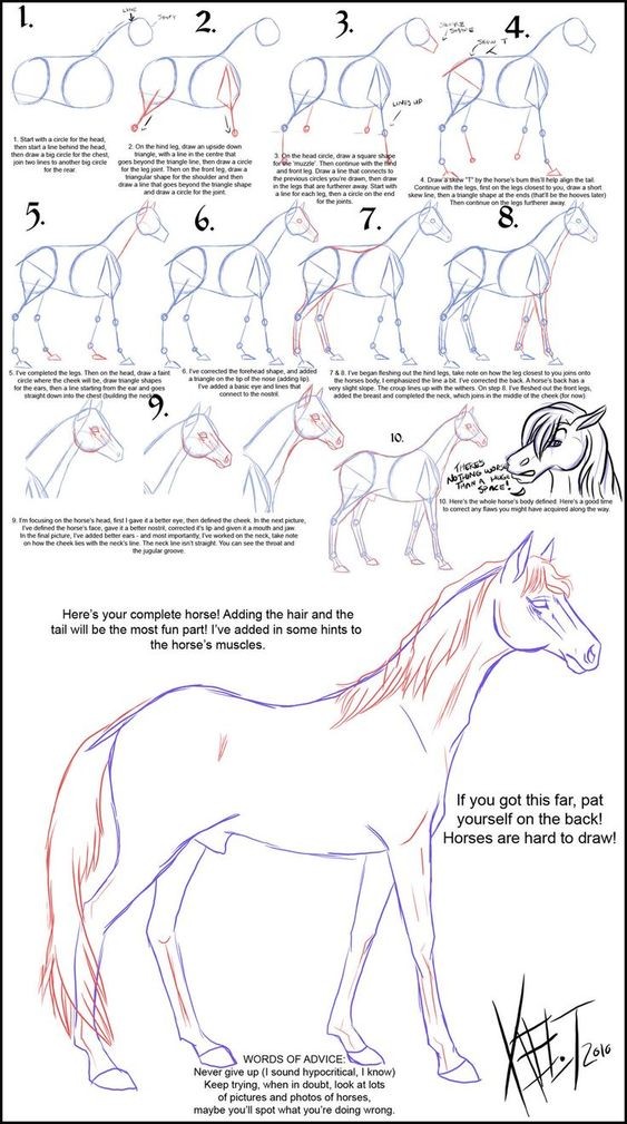 63 idées de dessins de cheval : pour apprendre à dessiner des chevaux 55 63 idées de dessins de cheval : pour apprendre à dessiner des chevaux 55