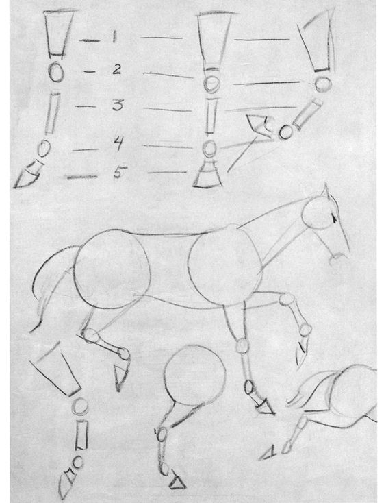 63 idées de dessins de cheval : pour apprendre à dessiner des chevaux 60 63 idées de dessins de cheval : pour apprendre à dessiner des chevaux 60