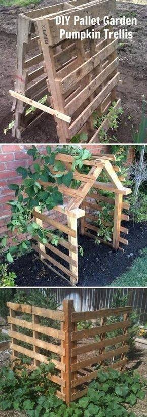 80 astuces incroyables pour transformer votre jardin sans vous ruiner! 27 80 astuces incroyables pour transformer votre jardin sans vous ruiner! 27