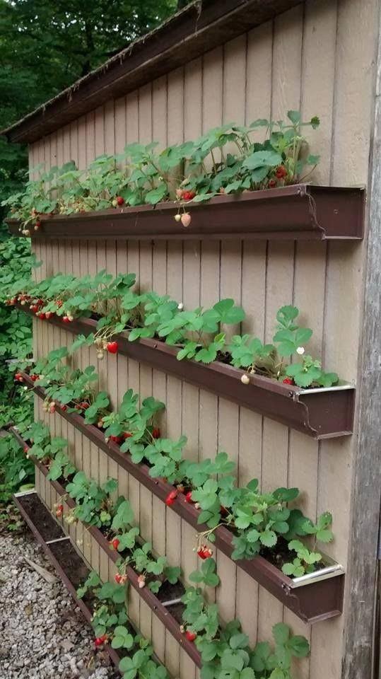 80 astuces incroyables pour transformer votre jardin sans vous ruiner! 29 80 astuces incroyables pour transformer votre jardin sans vous ruiner! 29