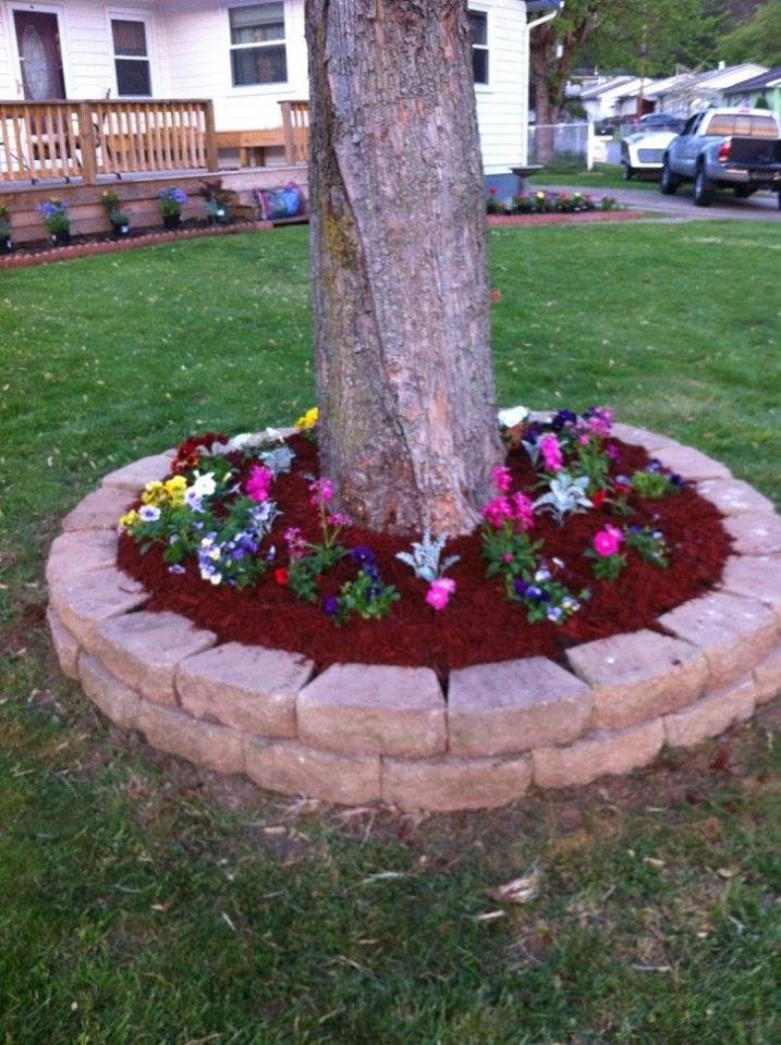 15 idées pour donner vie à votre jardin avec ces idées incroyables 4