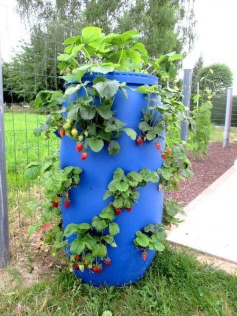 17 belles idées pour rendre votre jardin plus beaux 15