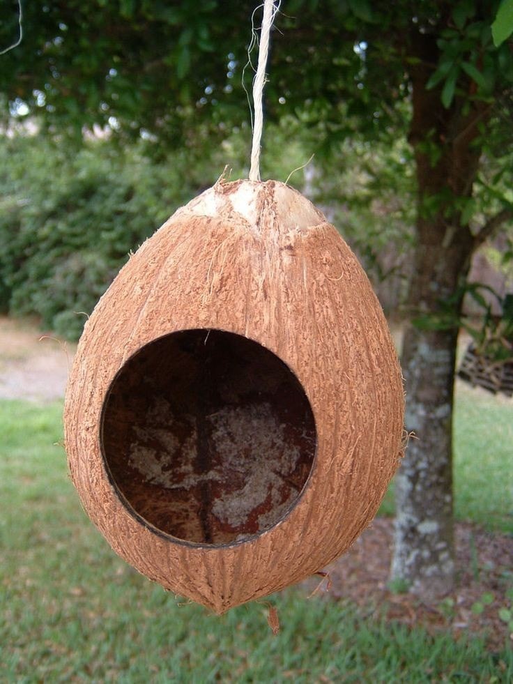 24 idées géniales avec des coques de noix de Coco 6 24 idées géniales avec des coques de noix de Coco 6