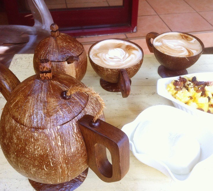 24 idées géniales avec des coques de noix de Coco 20 24 idées géniales avec des coques de noix de Coco 20