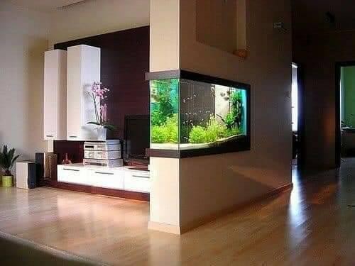 16 idées de magnifiques aquariums 2