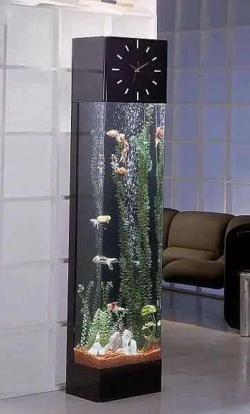 16 idées de magnifiques aquariums 5