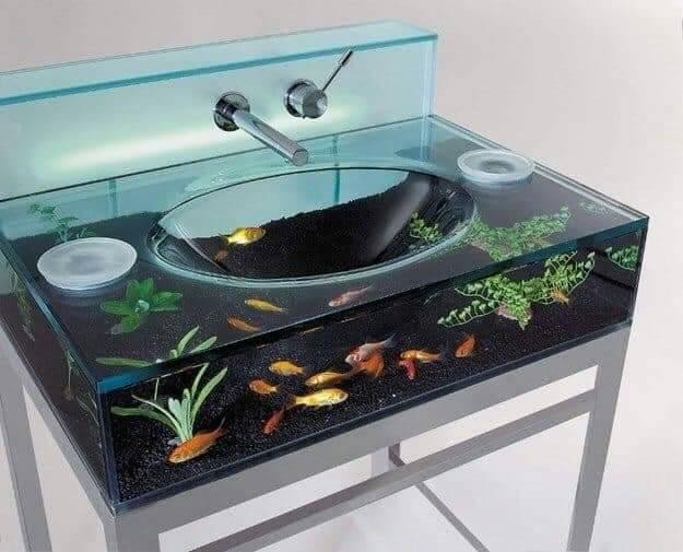 16 idées de magnifiques aquariums 6