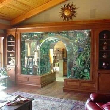 16 idées de magnifiques aquariums 9