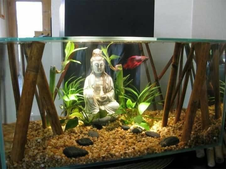 16 idées de magnifiques aquariums 14