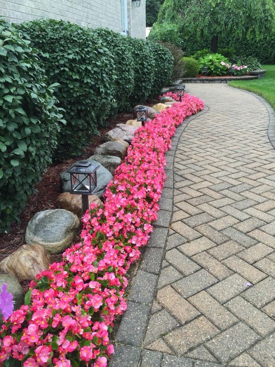 Les plus belles allées de jardin décorées avec des fleurs 12 Les plus belles allées de jardin décorées avec des fleurs 12