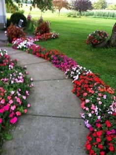 Les plus belles allées de jardin décorées avec des fleurs 20 Les plus belles allées de jardin décorées avec des fleurs 20