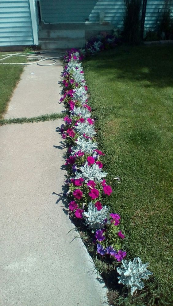Les plus belles allées de jardin décorées avec des fleurs 5 Les plus belles allées de jardin décorées avec des fleurs 5
