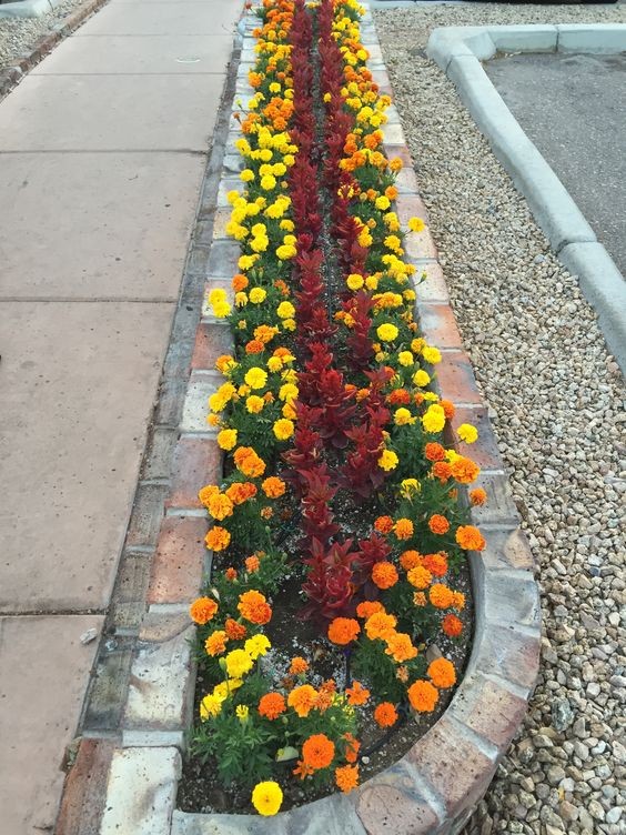 Les plus belles allées de jardin décorées avec des fleurs 6 Les plus belles allées de jardin décorées avec des fleurs 6