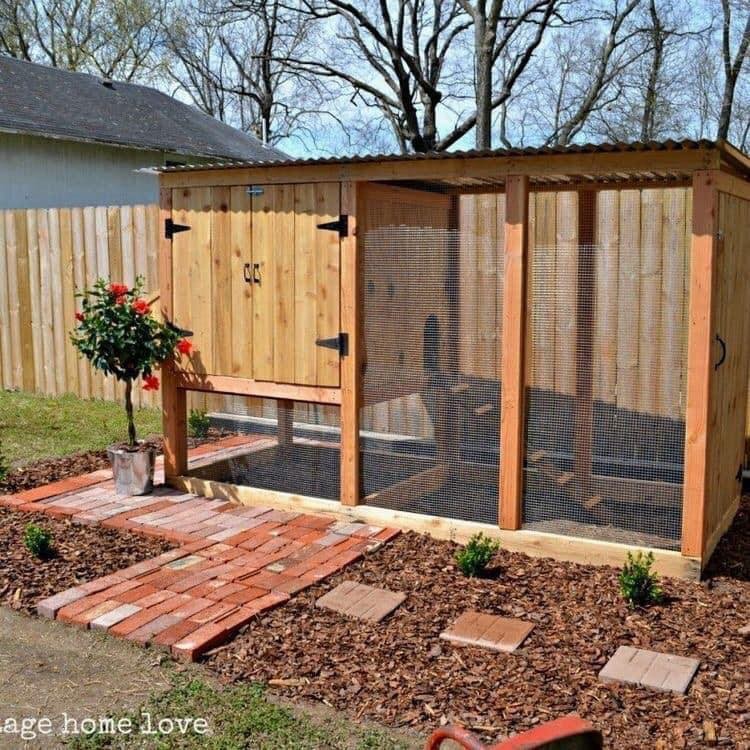 49 idées pour ceux qui veulent avoir des poules heureuses 7