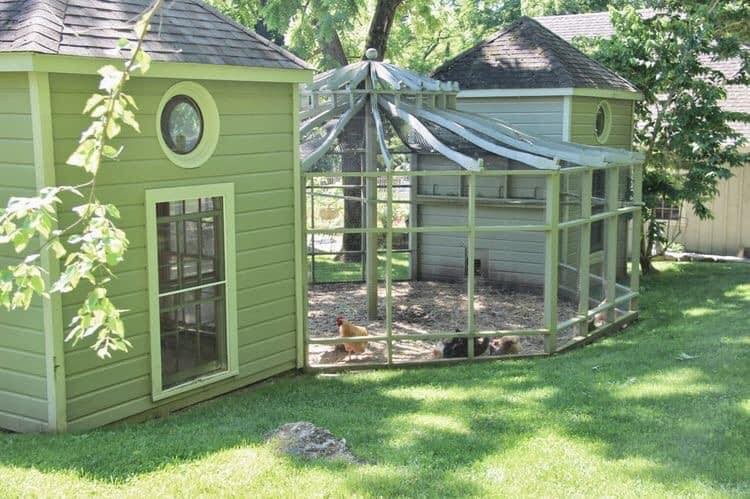 49 idées pour ceux qui veulent avoir des poules heureuses 20