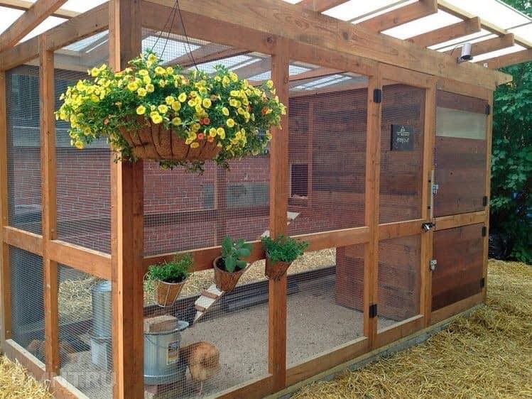 49 idées pour ceux qui veulent avoir des poules heureuses 23