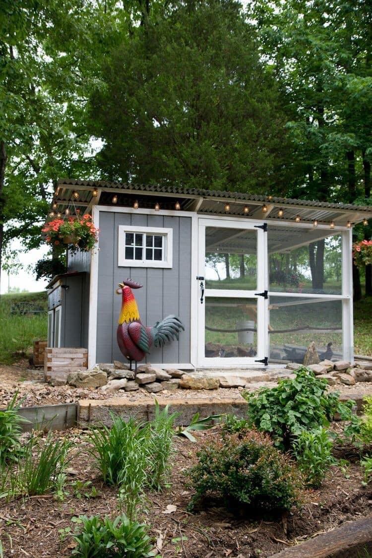 49 idées pour ceux qui veulent avoir des poules heureuses 25