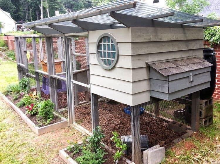 49 idées pour ceux qui veulent avoir des poules heureuses 26