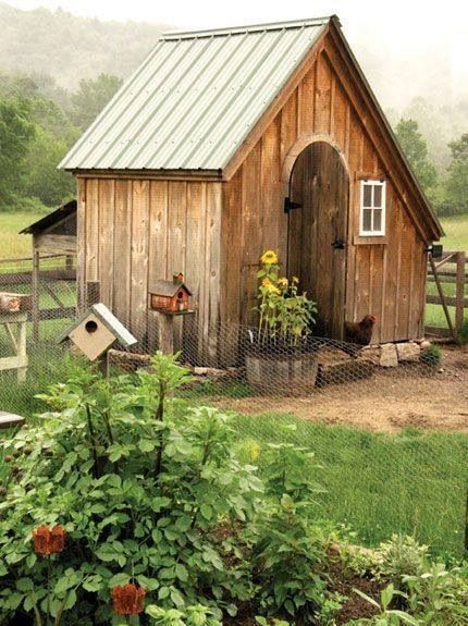 49 idées pour ceux qui veulent avoir des poules heureuses 34