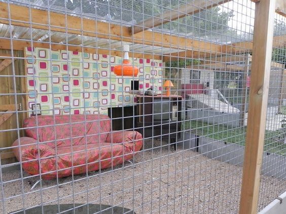 49 idées pour ceux qui veulent avoir des poules heureuses 36