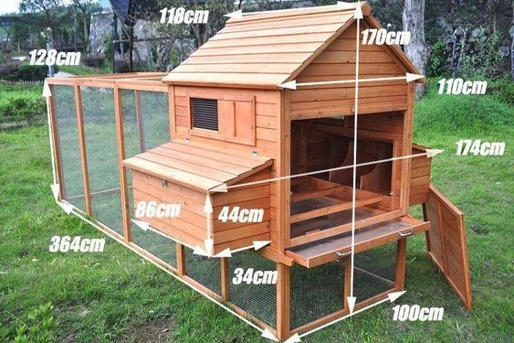 49 idées pour ceux qui veulent avoir des poules heureuses 1 49 idées pour ceux qui veulent avoir des poules heureuses 1