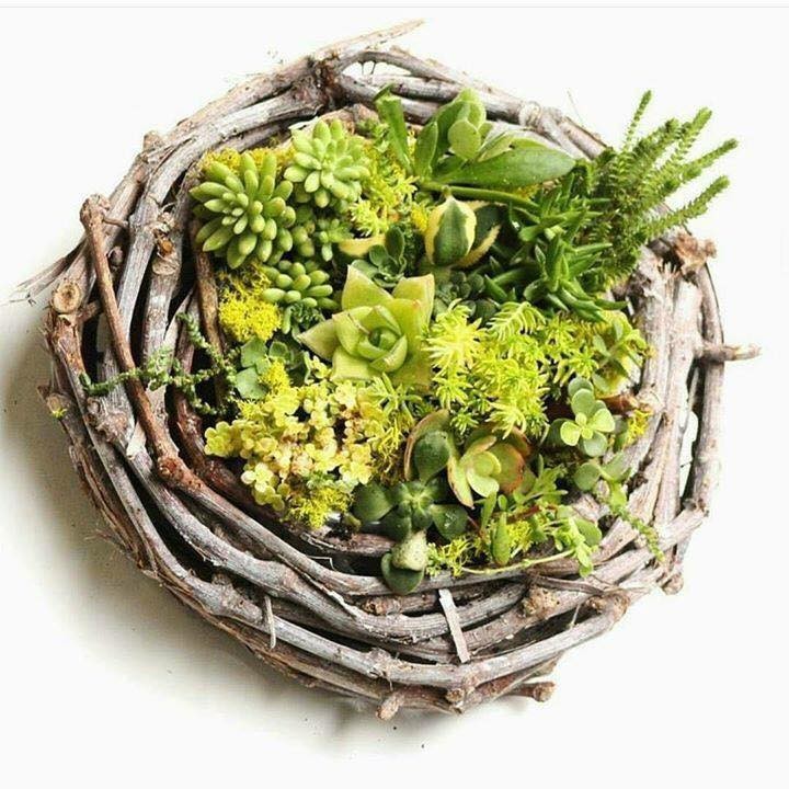 26 idées de décorations à faire avec du bois flotté 12 26 idées de décorations à faire avec du bois flotté 12