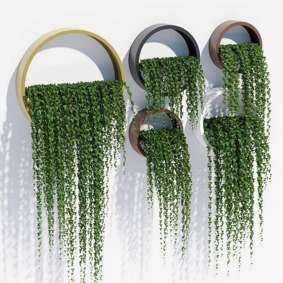 29 idées d'étagères pour plantes d'intérieur magnifiques 6 29 idées d'étagères pour plantes d'intérieur magnifiques 6