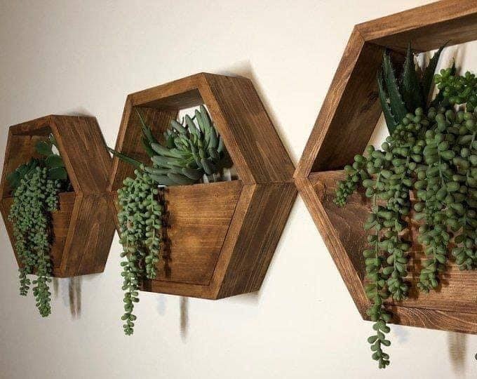 29 idées d'étagères pour plantes d'intérieur magnifiques 21 29 idées d'étagères pour plantes d'intérieur magnifiques 21