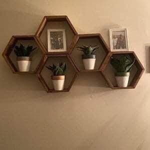 29 idées d'étagères pour plantes d'intérieur magnifiques 22 29 idées d'étagères pour plantes d'intérieur magnifiques 22