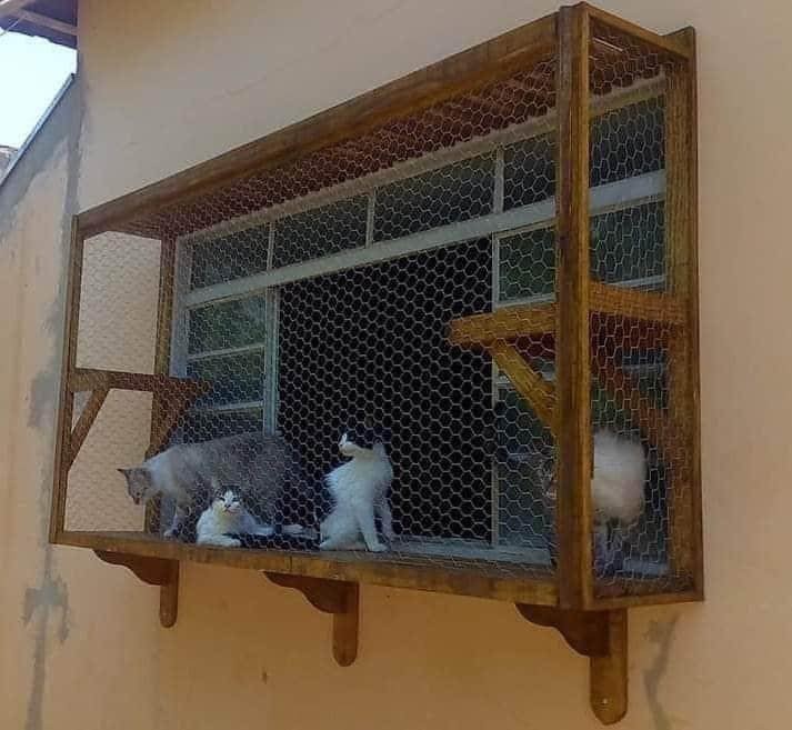 17 idées pour garder ses chats en sécurité 2 17 idées pour garder ses chats en sécurité 2